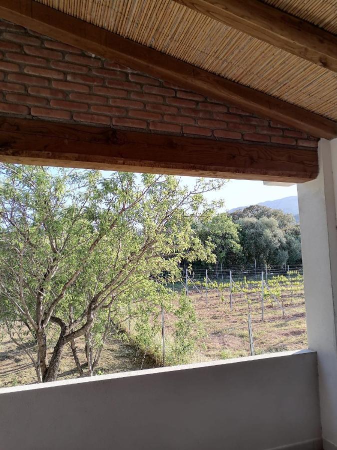 Agriturismo "Pirastreri" سينيسكولا المظهر الخارجي الصورة