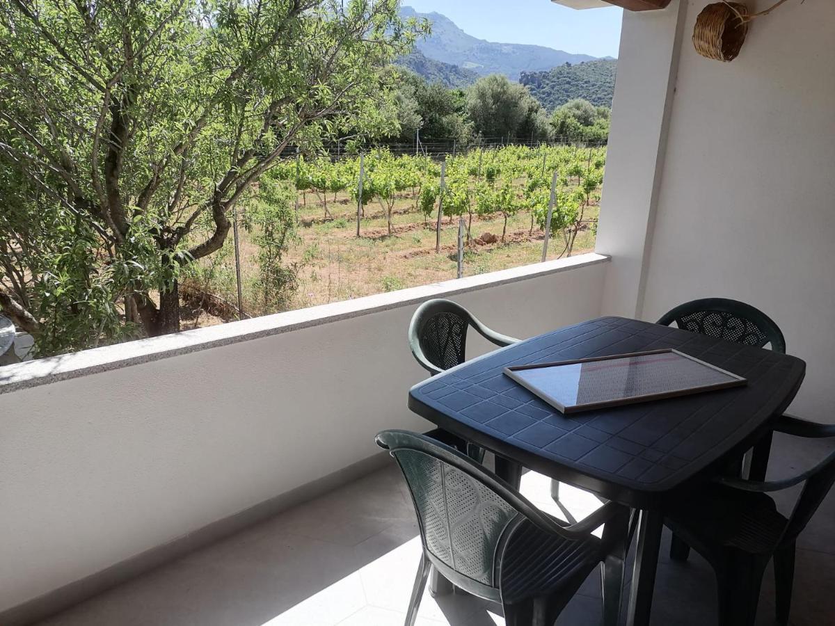 Agriturismo "Pirastreri" سينيسكولا المظهر الخارجي الصورة