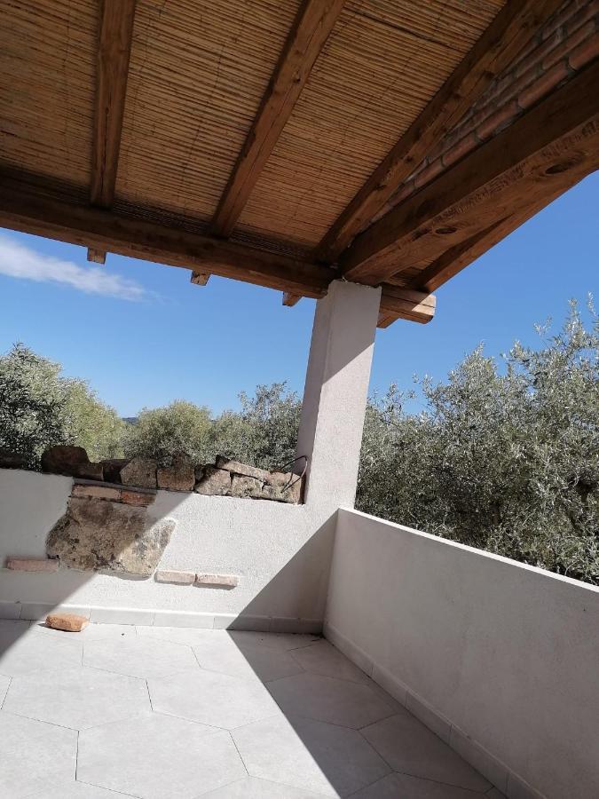 Agriturismo "Pirastreri" سينيسكولا المظهر الخارجي الصورة