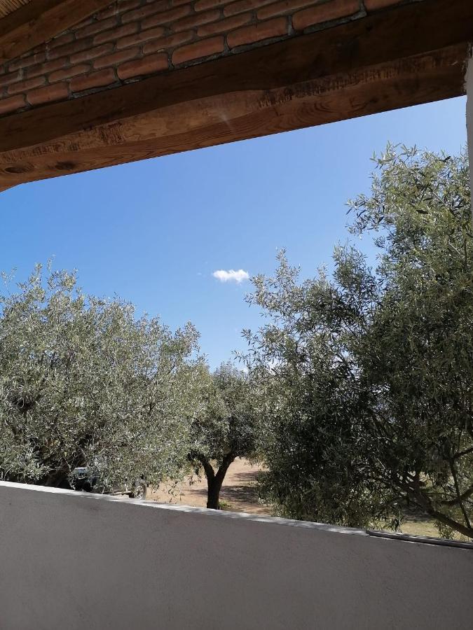 Agriturismo "Pirastreri" سينيسكولا المظهر الخارجي الصورة