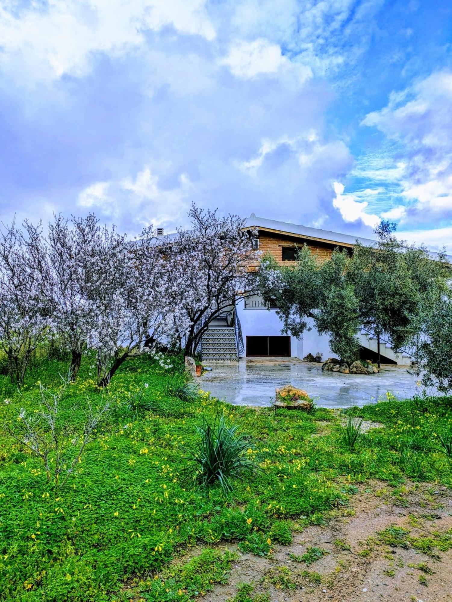 Agriturismo "Pirastreri" سينيسكولا المظهر الخارجي الصورة