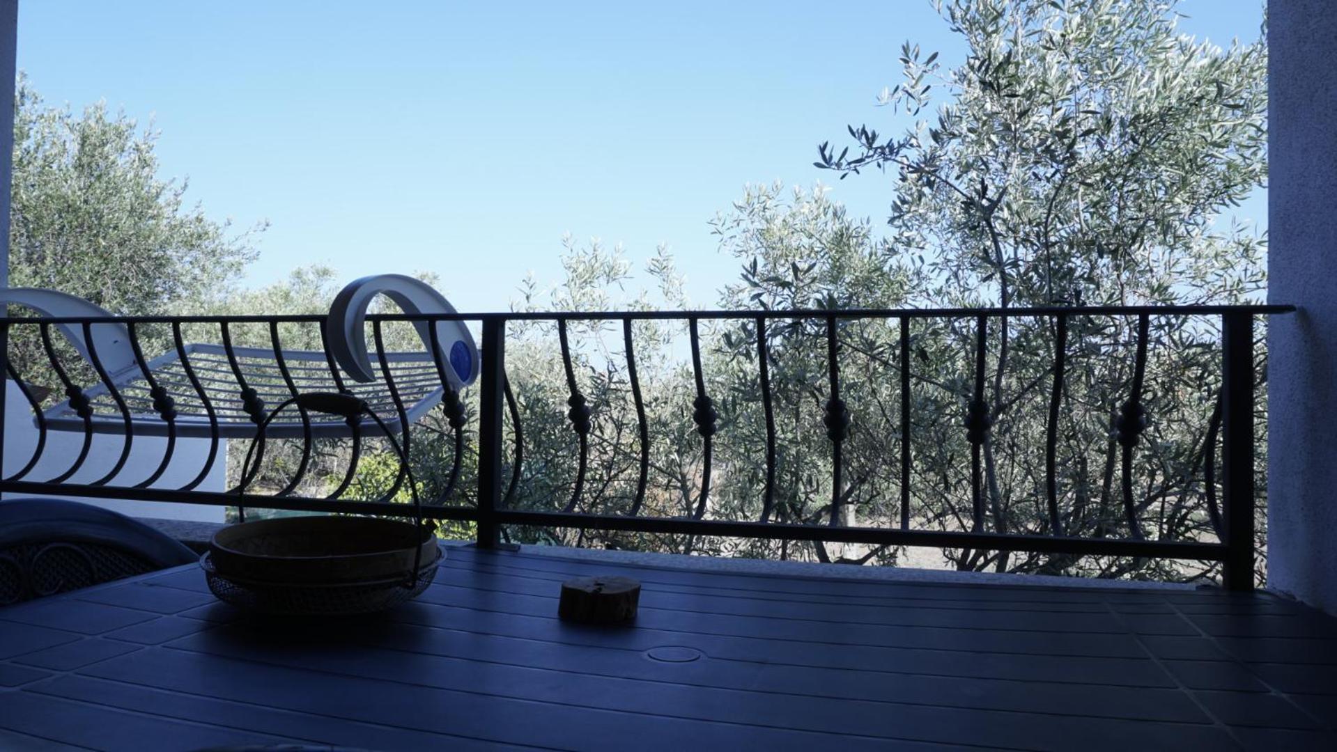 Agriturismo "Pirastreri" سينيسكولا المظهر الخارجي الصورة