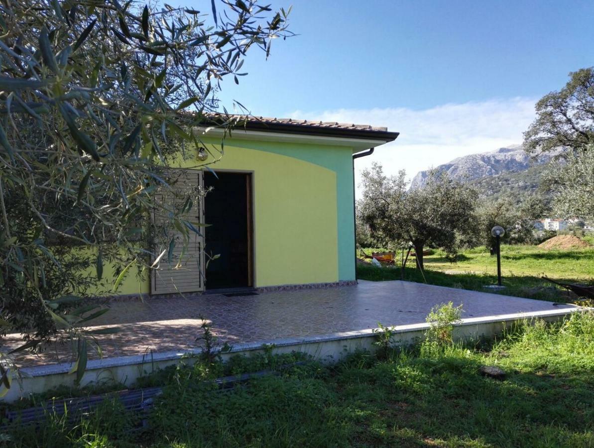 Agriturismo "Pirastreri" سينيسكولا المظهر الخارجي الصورة