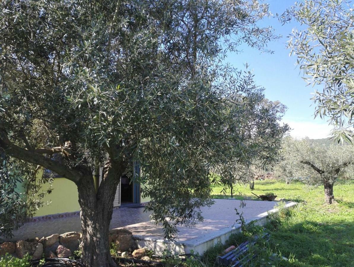 Agriturismo "Pirastreri" سينيسكولا المظهر الخارجي الصورة